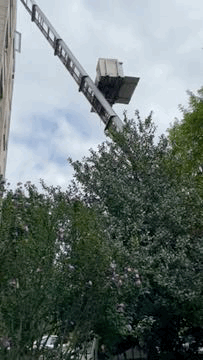 demenageur bruxelles pas cher liftservice camion demenagement ixelles meise wemmel lift rapide express